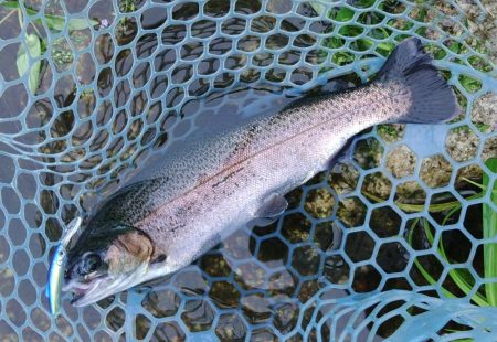 雨のフィッシングパーク高島の泉